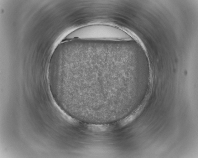 X0000085230855200704091955