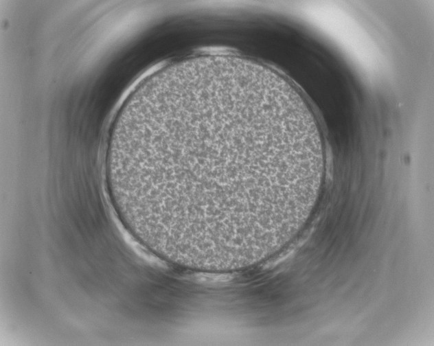 X0000085230861200704091955