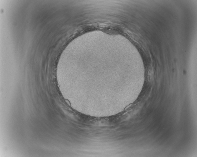 X0000085230865200704091955