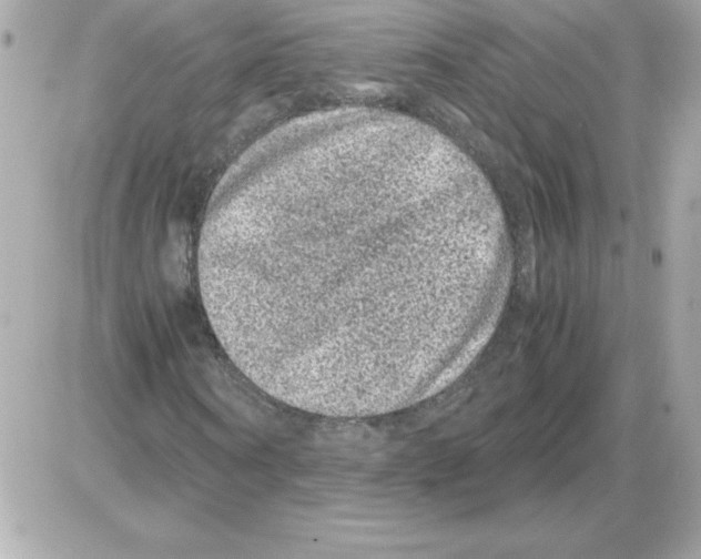 X0000085230866200704091955