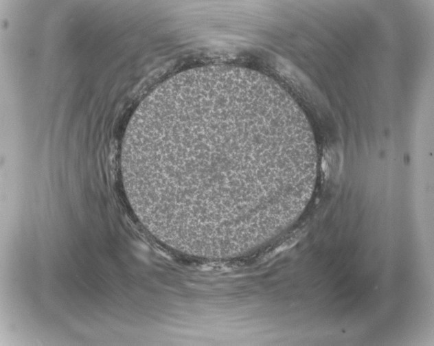 X0000085230867200704091955