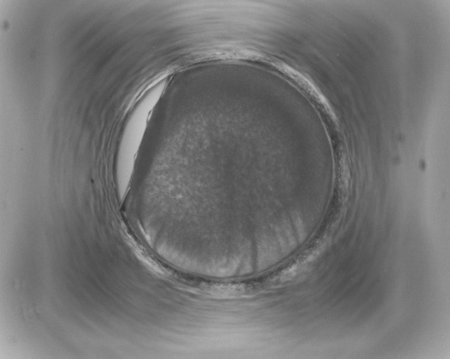 X0000085230889200704091954