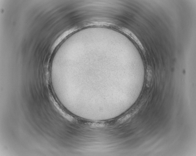 X0000085230890200704091954