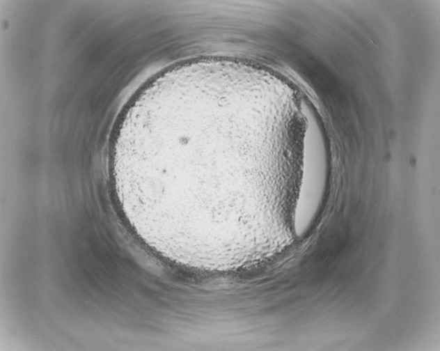 X0000085230891200704091954