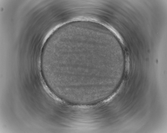 X0000085230896200704091954