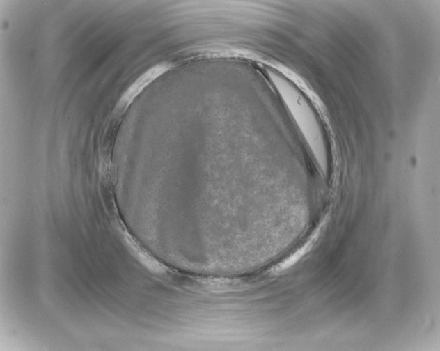 X0000085230897200704091954