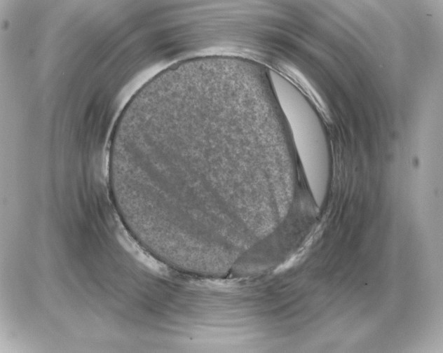 X0000085230900200704091954