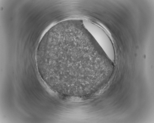 X0000085230907200704091954