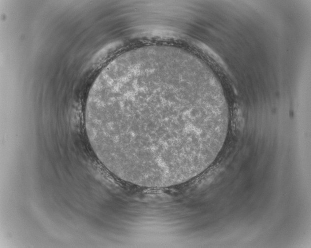 X0000085230918200704091953