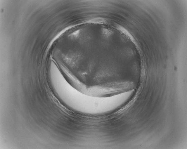 X0000085230923200704091953