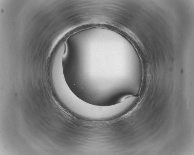 X0000085230926200704091953