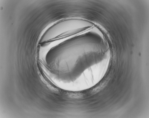 X0000085230941200704091954