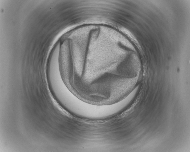 X0000085230942200704091954