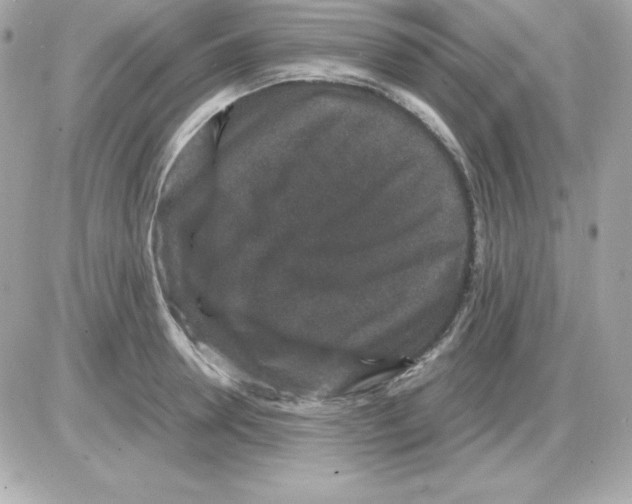 X0000085230946200704091954