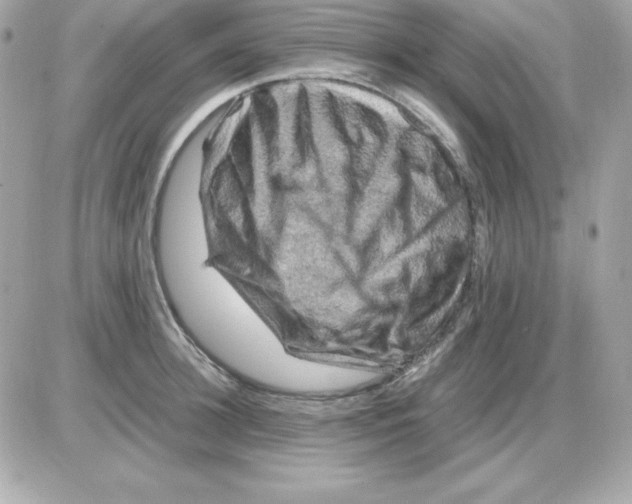 X0000085230948200704091954