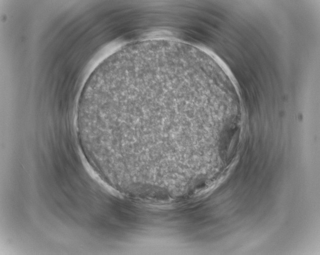 X0000085230957200704091954