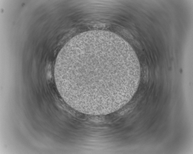 X0000085230962200704091953