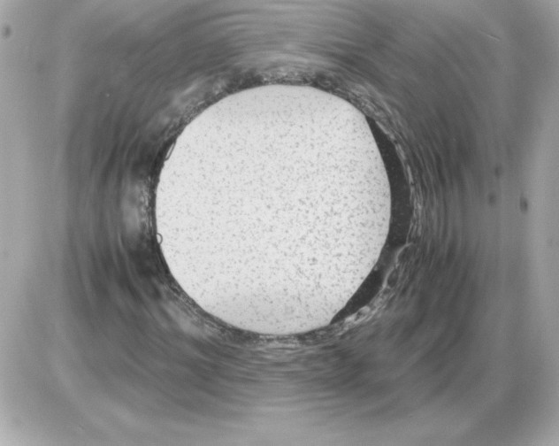 X0000085230964200704091953