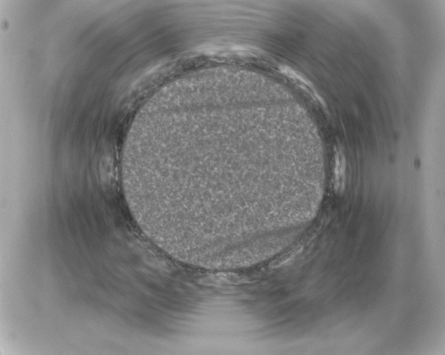 X0000085230966200704091953