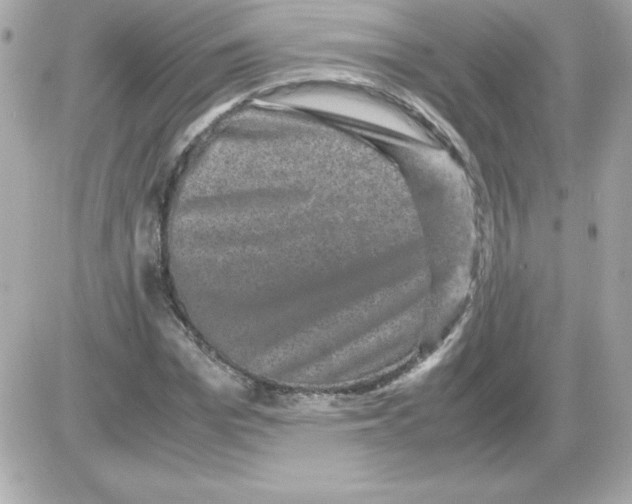 X0000085230969200704091953