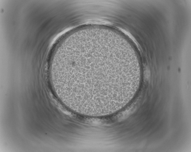 X0000085230971200704091953