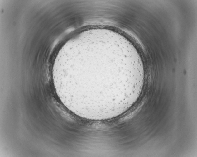 X0000085230974200704091953
