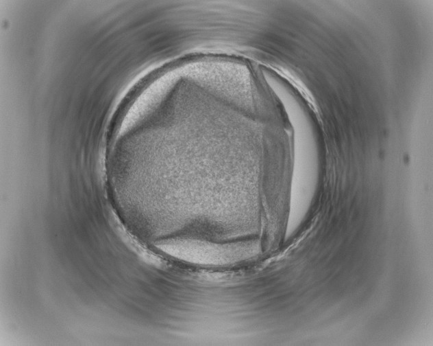 X0000085230976200704091953