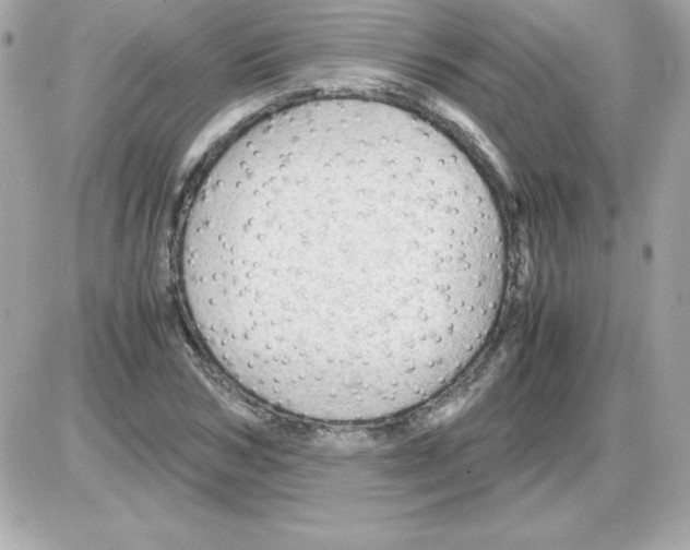 X0000085230978200704091953