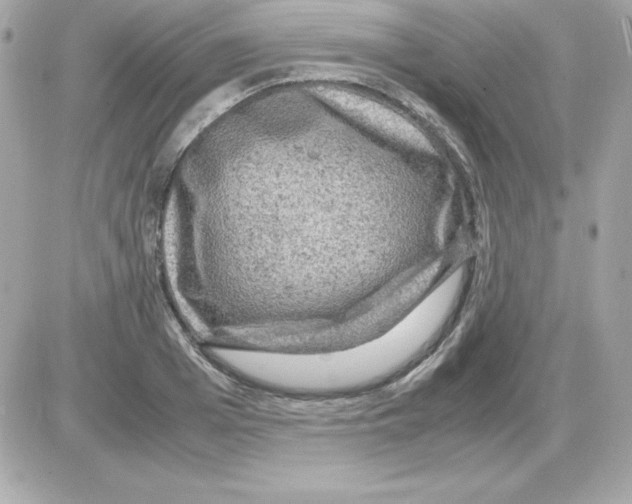 X0000085230985200704091953