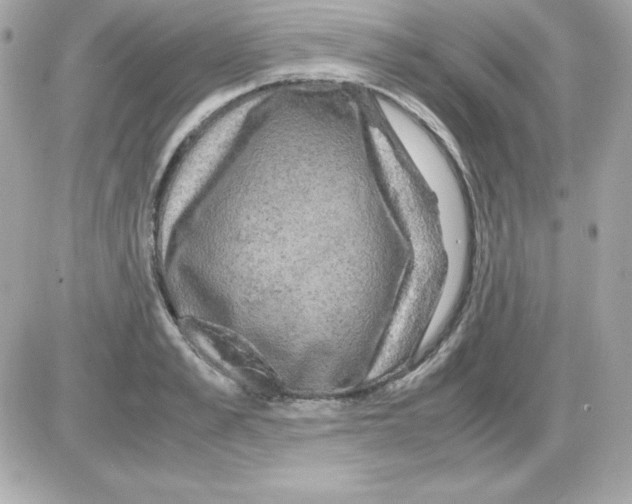 X0000085230989200704091953