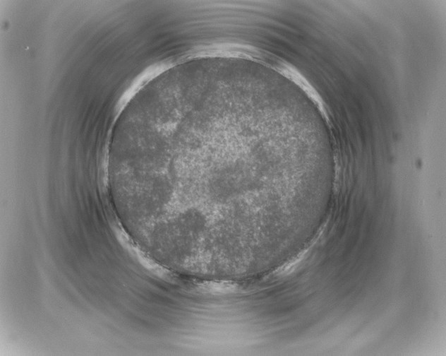 X0000085230994200704091953