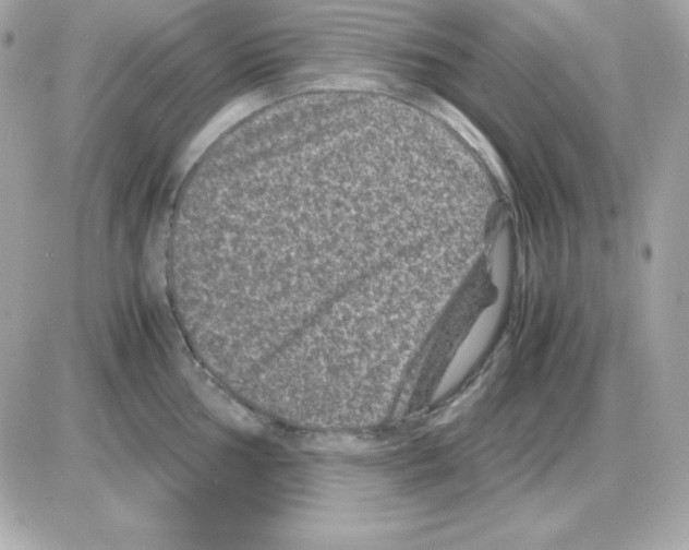 X0000085231002200704091952