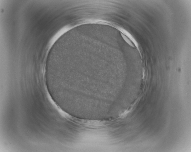 X0000085231007200704091952