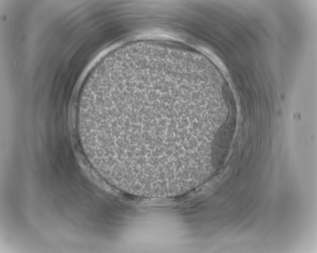 X0000085231008200704091952
