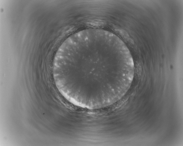 X0000085231009200704091952
