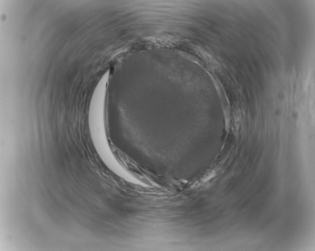 X0000085231010200704091952