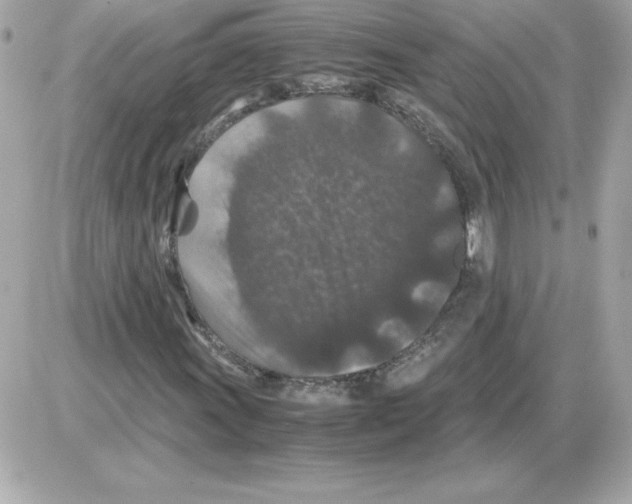 X0000085231011200704091952