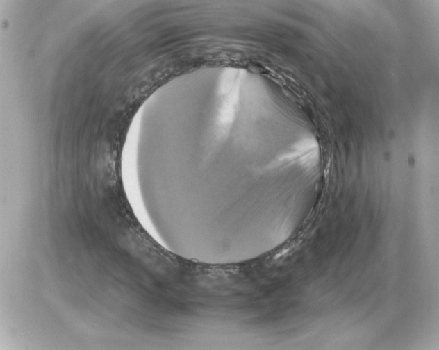 X0000085231013200704091952