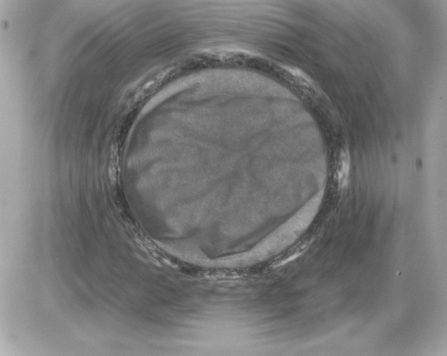 X0000085231014200704091952