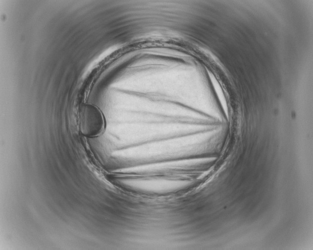 X0000085231018200704091952