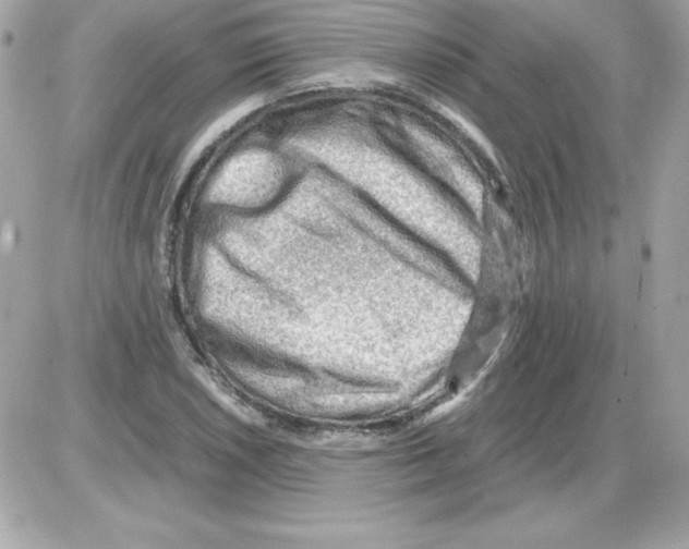 X0000085231026200704091952