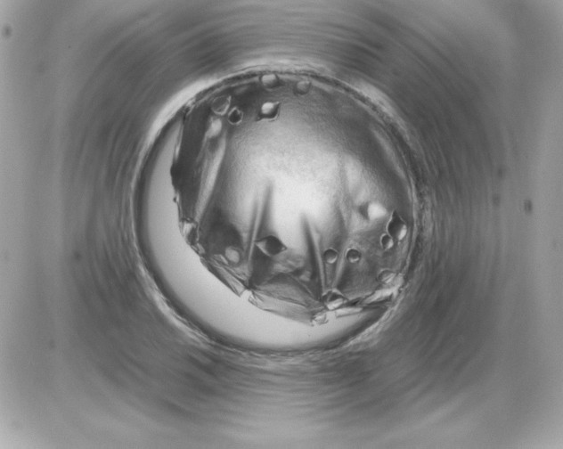 X0000085231030200704091952