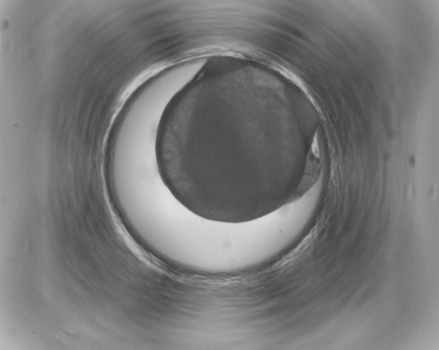 X0000085231034200704091952