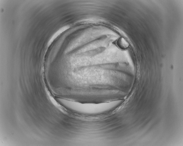 X0000085231042200704091952