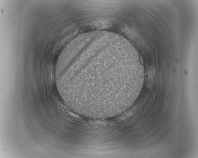 X0000085231058200704091952