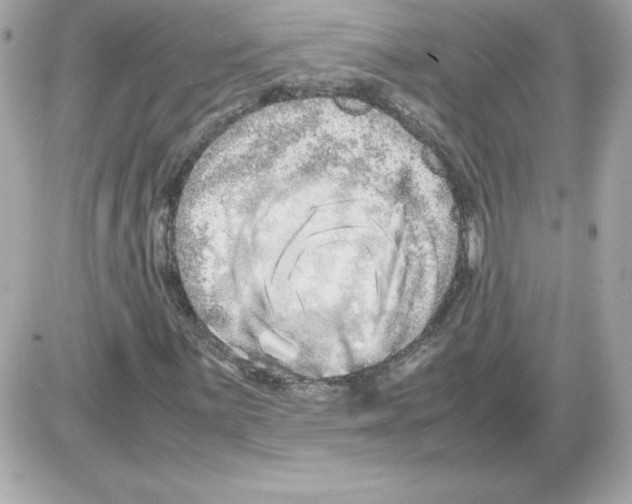 X0000085231059200704091952