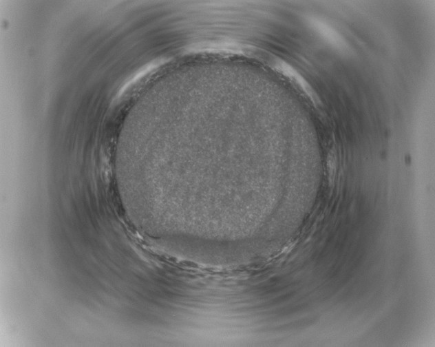 X0000085231064200704091951