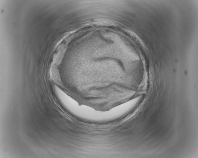 X0000085231065200704091951