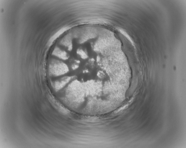 X0000085231071200704091951