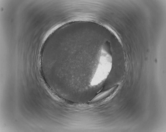X0000085231077200704091951